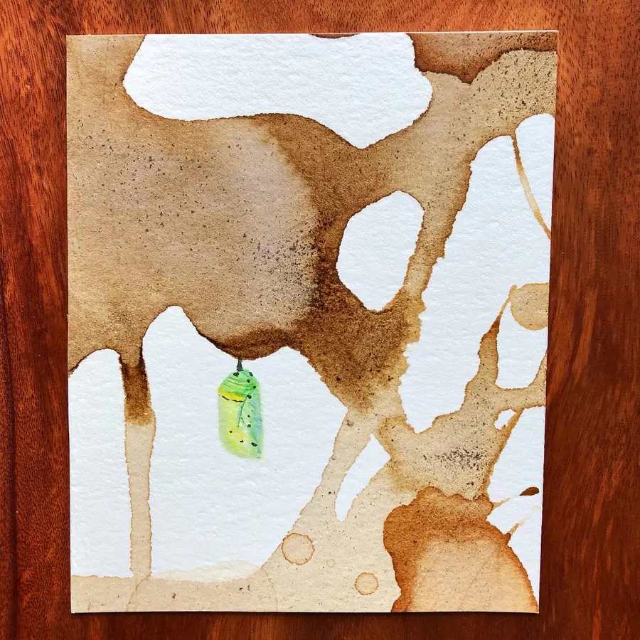 Watercolour and cocoa-ink painting of a chrysalis.