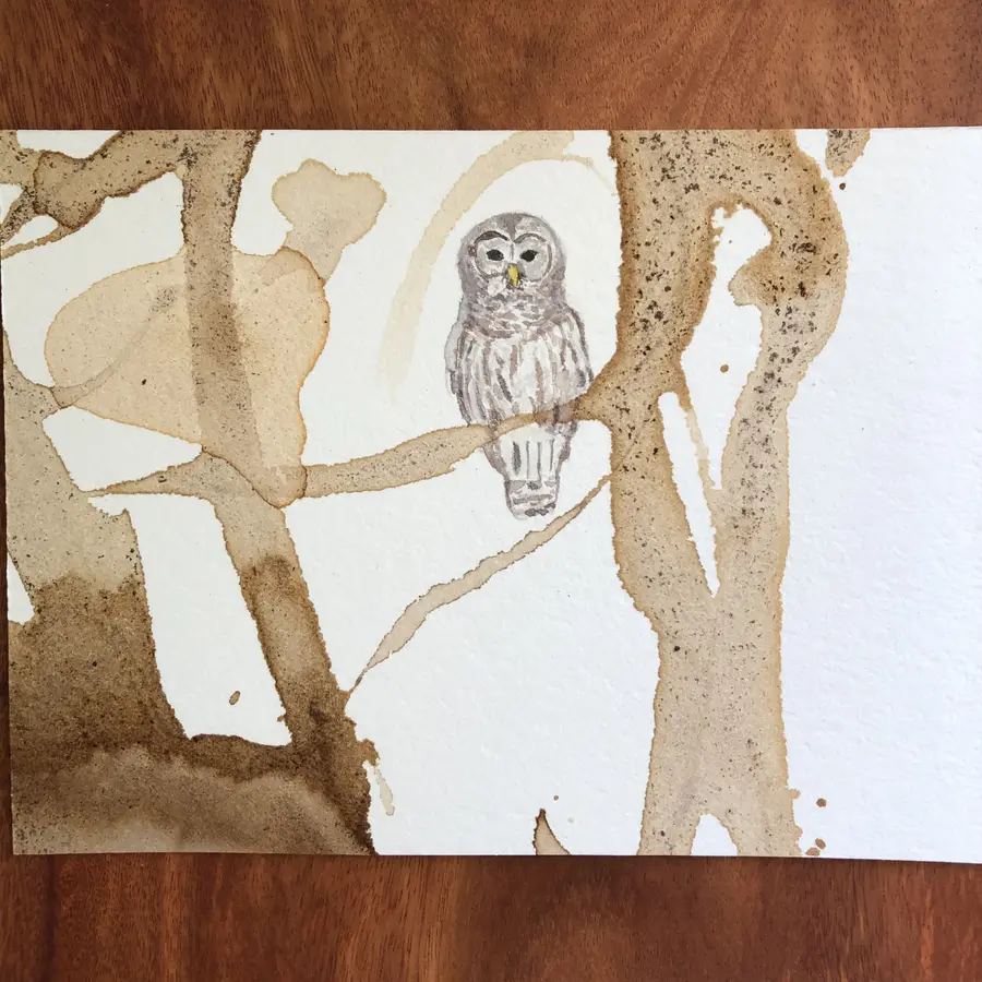 Watercolour and cocoa-ink painting of an owl.