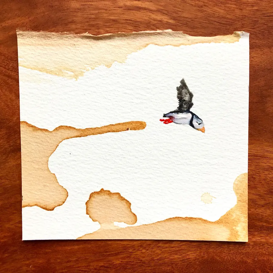 Watercolour and cocoa-ink painting of a puffin.